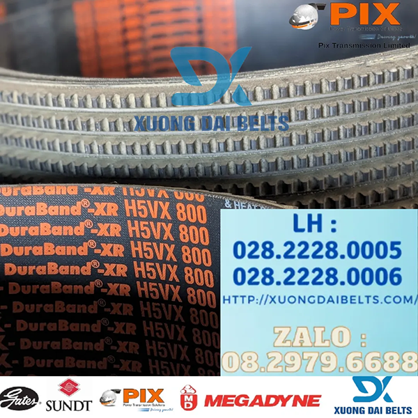 Dây curoa Pix H5VX-800 - Xương Đại BELTS - Công Ty TNHH Thương Mại Xương Đại